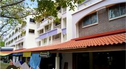 Hougang Avenue 4 (D19), Shop House #596396481
